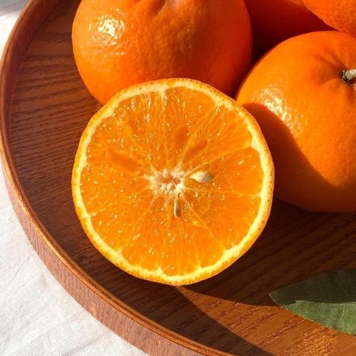 广西沃柑 商品图1