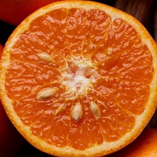 广西沃柑 商品图0