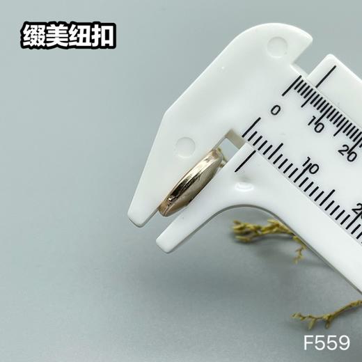 F559(整包购买) 商品图3