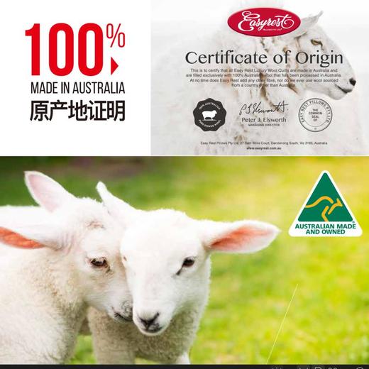 【原装进口】澳大利亚EasyRest经典羊毛四季通用春秋被 商品图2