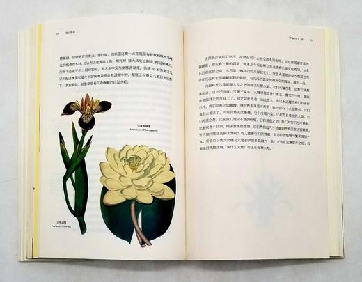 博物图鉴：《瓦尔登湖》+《鸟的魅力》，梭罗等著，华中科技大学出版社2018年版 商品图10