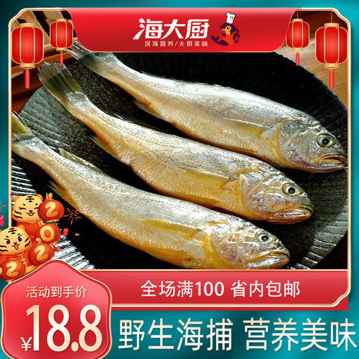 【海大厨】海捕黄花鱼 500g 50-70g/条 商品图1