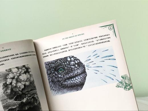 【i陪娃专享】神秘日志·达尔文环球旅行记 商品图9