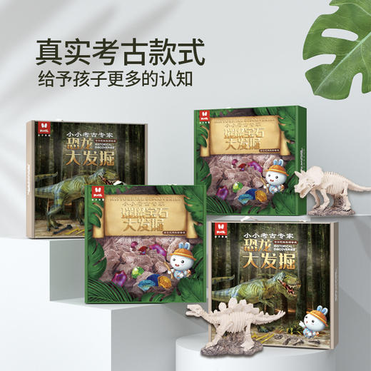 火火兔恐龙化石宝考古宝石水晶挖掘DIY玩具 商品图3