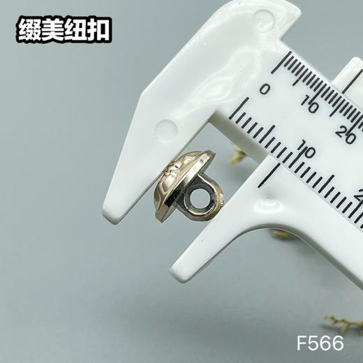 F566(整包购买) 商品图4