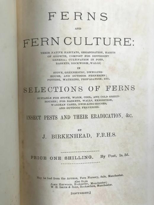 约19世纪后期 蕨类植物与文化 数十幅版画插图 漆布精装32开 商品图2