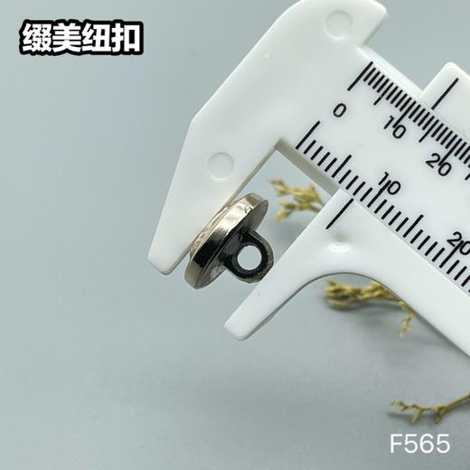 F565(整包购买) 商品图4