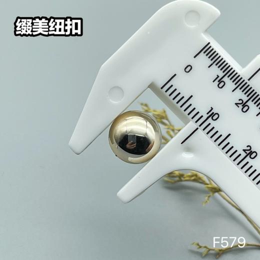 F579(整包购买) 商品图4