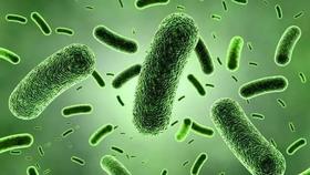  女性知音，私处保养总结（附产品） 