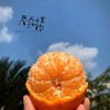 【四川•春见（耙耙柑8斤/10斤）】清甜果粒多 爆汁脆嫩 皮薄易撕不脏手 现摘现发 商品缩略图7