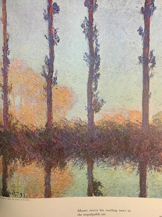 印象派画集 364幅彩色与132幅黑白插图 精装大16开 商品图5