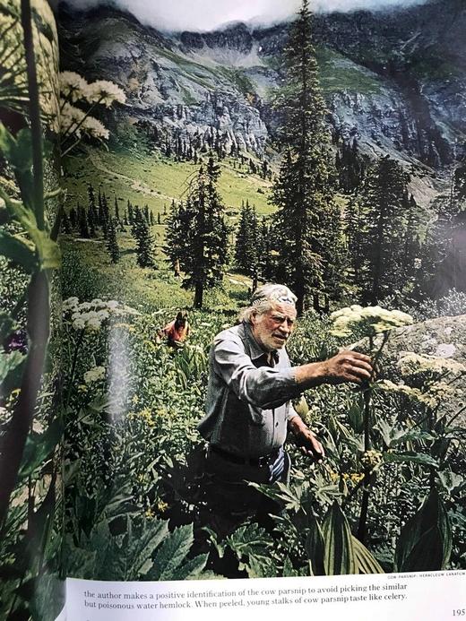 1973年下半年合订本 国家地理杂志 约千幅彩色插图 精装16开 商品图7