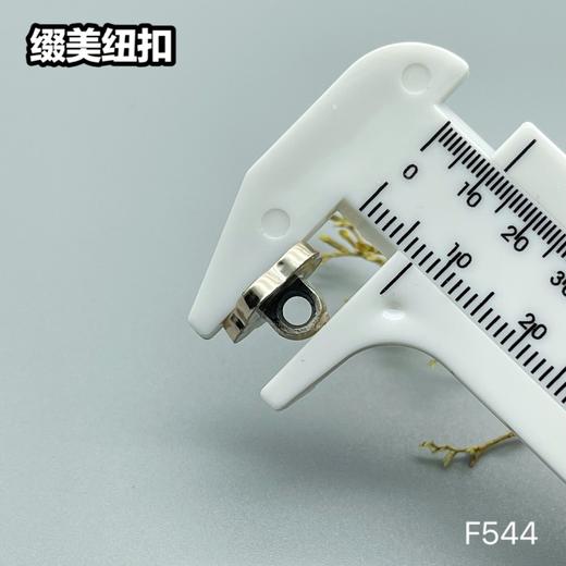 F544(整包购买) 商品图7