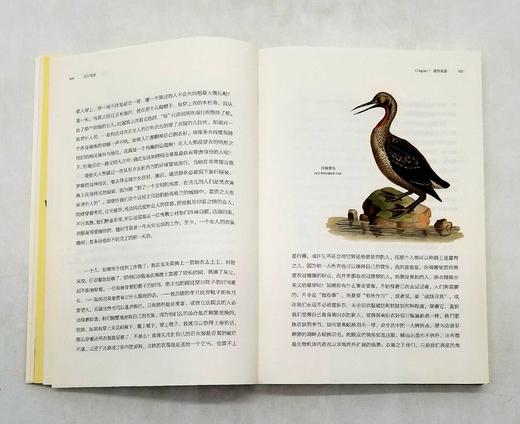 博物图鉴：《瓦尔登湖》+《鸟的魅力》，梭罗等著，华中科技大学出版社2018年版 商品图6