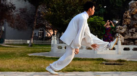 心意（形意）拳