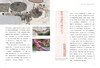 《读懂中国画·清明上河图》 16开180页，范迪安先生推荐——河南美术出版社 商品缩略图2