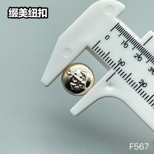 F567(整包购买) 商品图3
