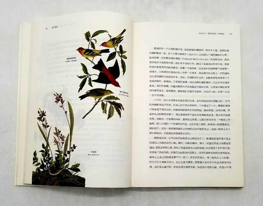 博物图鉴：《瓦尔登湖》+《鸟的魅力》，梭罗等著，华中科技大学出版社2018年版 商品图7
