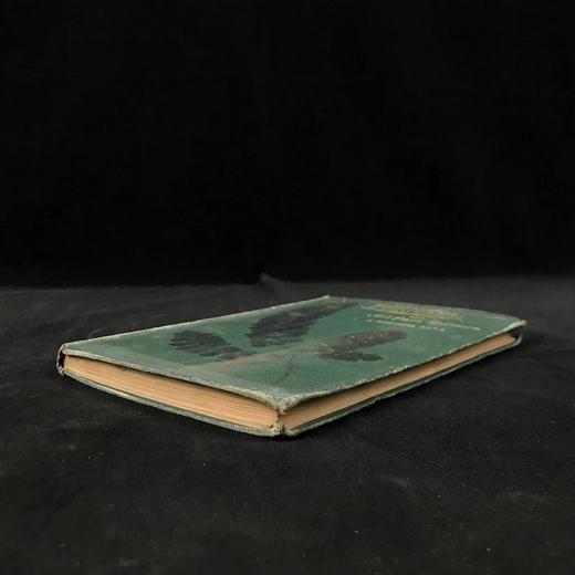 约19世纪后期 蕨类植物与文化 数十幅版画插图 漆布精装32开 商品图1