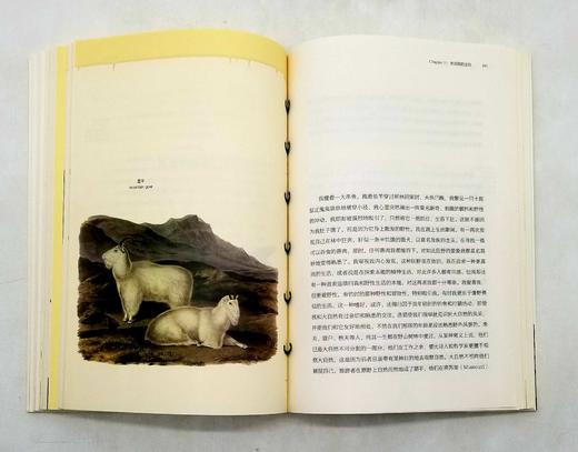 博物图鉴：《瓦尔登湖》+《鸟的魅力》，梭罗等著，华中科技大学出版社2018年版 商品图9