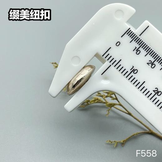 F558(整包购买) 商品图3