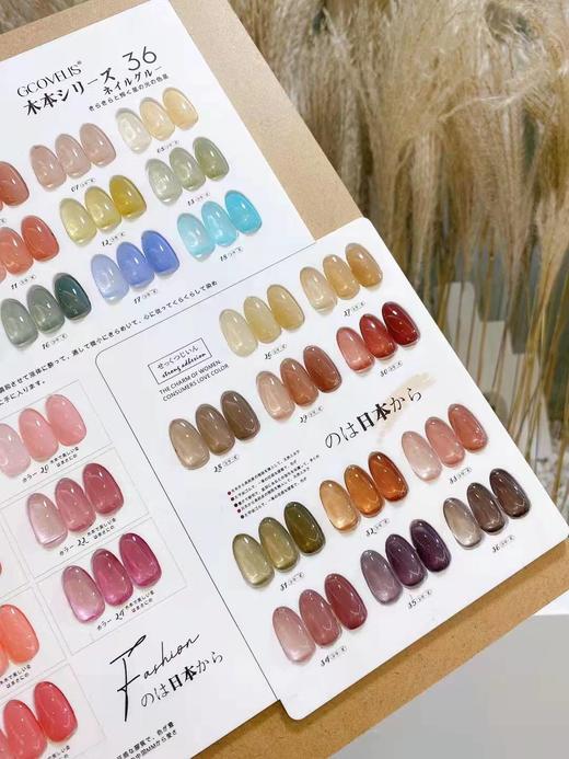 木本透色36色小套（秒杀） 商品图3