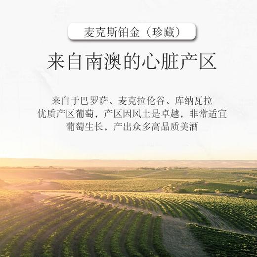 TY奔富BIN Max 750ml/瓶*6【鲜知20.0】 商品图3