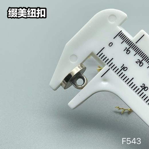 F543(整包购买) 商品图6