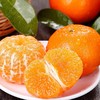 【广西武鸣沃柑】 皮薄香甜 水分充足 现摘现发 应季水果 商品缩略图2
