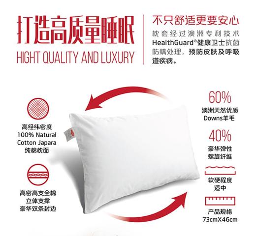 原装进口-澳洲EasyRest成人羊毛枕头健康卫士技术高密全棉面料羊毛枕芯保护颈椎深度睡眠 商品图2