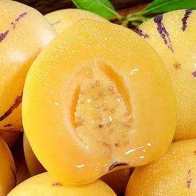 宅享日出游新品推荐