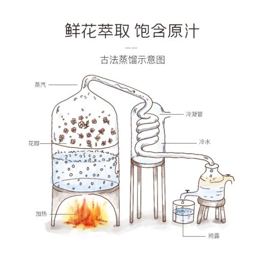 【活动专属】神琦大马士革玫瑰纯露 商品图2