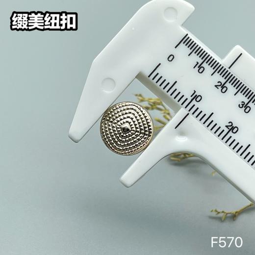 F570(整包购买) 商品图3