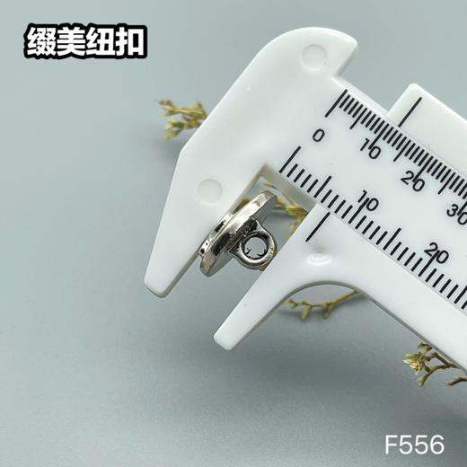 F556(整包购买) 商品图4