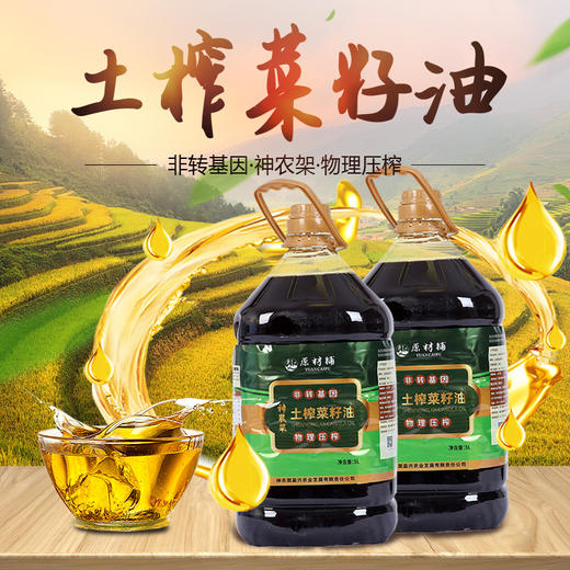 【助农】神农架土榨菜籽油5L 商品图1
