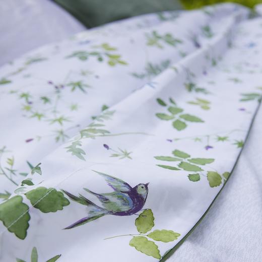 AT邸尔铂 · 法国进口奢华家纺Envolée轻舞飞扬床品四件套床品配件 商品图3