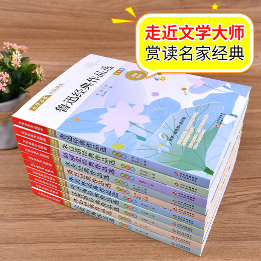 （现货速发） 盒装礼品书《文学名家作品精选》（全10本） 商品图2