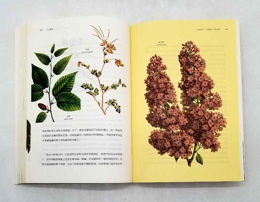 博物图鉴：《瓦尔登湖》+《鸟的魅力》，梭罗等著，华中科技大学出版社2018年版 商品图12