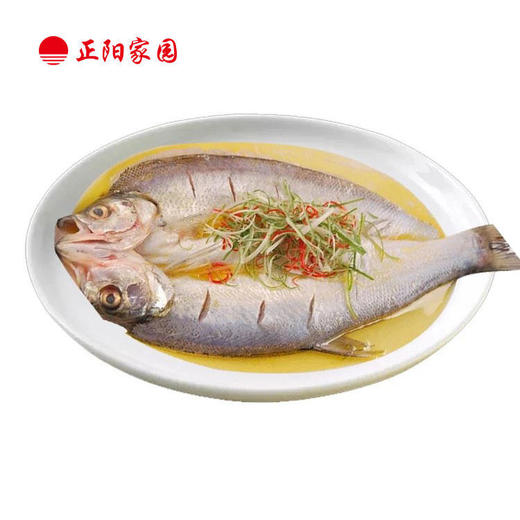 大白鱼（翘嘴白鱼） 500-600g/条半成品菜特色菜大白刁子鱼翘嘴 商品图0