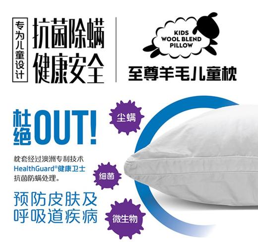 原装进口-澳洲EasyRest健康卫士儿童枕头可水洗枕芯可烘干 商品图1