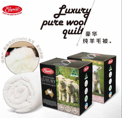 【原装进口】澳大利亚EasyRest经典羊毛四季通用春秋被 商品图1