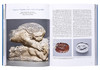 【中商原版】How To Read Greek Sculpture 进口艺术 如何读懂希腊雕塑 商品缩略图6