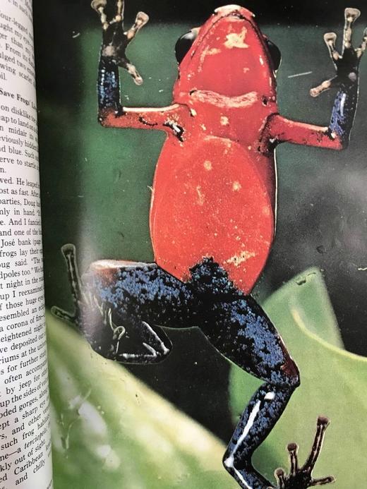 1973年下半年合订本 国家地理杂志 约千幅彩色插图 精装16开 商品图10