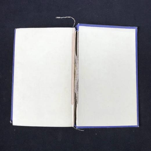 约19世纪后期 英国鸟卵图鉴 6页套色版画插图 漆布精装36开 商品图2