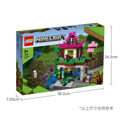 乐高LEGO 我的世界®训练场LEGC21183 商品图5