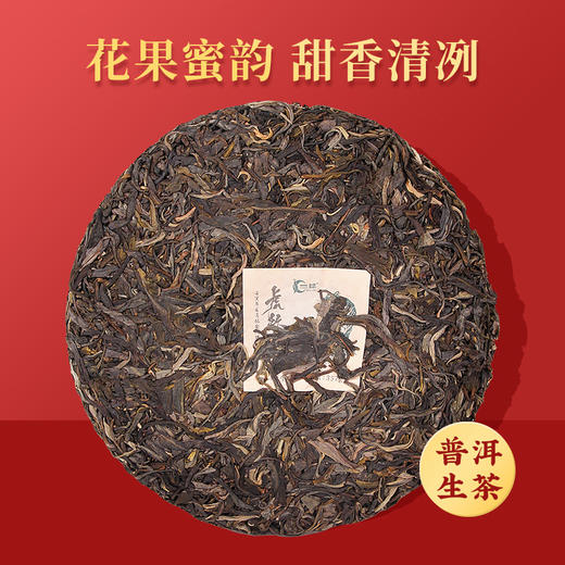 一球2022年虎跃山河生茶357g 商品图3