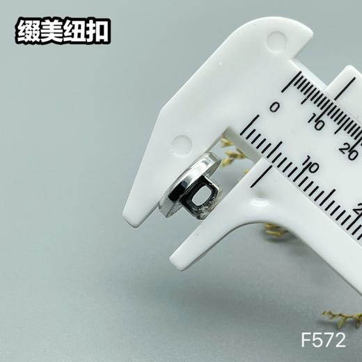 F572(整包购买) 商品图4