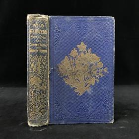 1859年 野花图鉴 8页套色版画171幅黑白版画插图 漆布精装64开