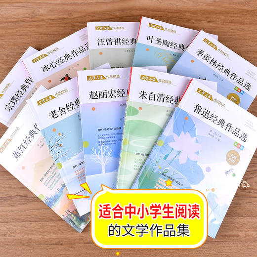 （现货速发） 盒装礼品书《文学名家作品精选》（全10本） 商品图3