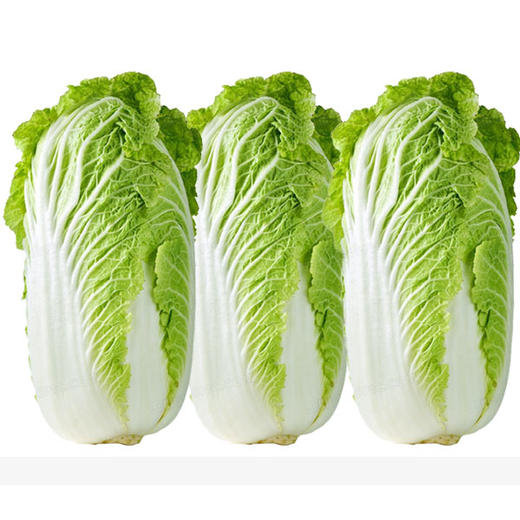 【1.98元2斤】新白菜（1500812） 商品图0